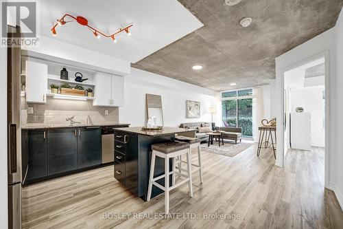 117 - 816 Lansdowne Avenue, Toronto (Dovercourt-Wallace Emerson-Junction), ON - Indoor Photo Showing Kitchen