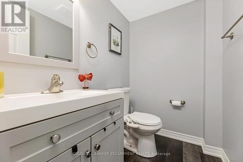 220 Elmore Drive, Halton Hills (Acton), ON - Indoor Photo Showing Bathroom