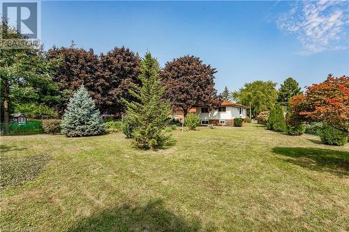 125 Brant Avenue, Guelph, ON - Outdoor