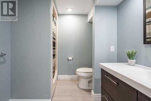 356 Delrex Boulevard, Halton Hills (Georgetown), ON - Indoor Photo Showing Bathroom