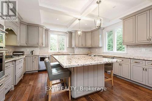 7840 Patterson Side Road, Caledon, ON - Indoor Photo Showing Kitchen With Upgraded Kitchen