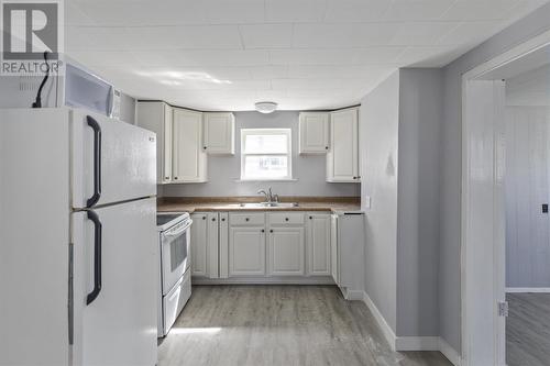 119 Grosvenor Ave, Sault Ste. Marie, ON - Indoor Photo Showing Kitchen With Double Sink