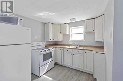 119 Grosvenor Ave, Sault Ste. Marie, ON - Indoor Photo Showing Kitchen With Double Sink