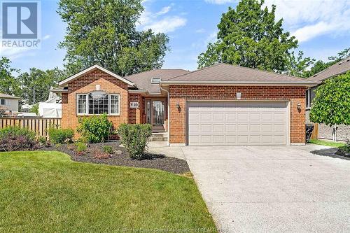 10 Elwood, Cottam, ON - Outdoor