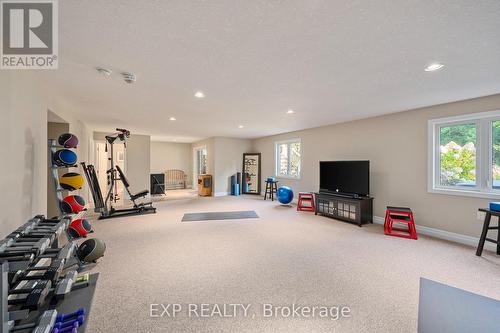 1597 Moe Norman Place, London, ON - Indoor Photo Showing Gym Room