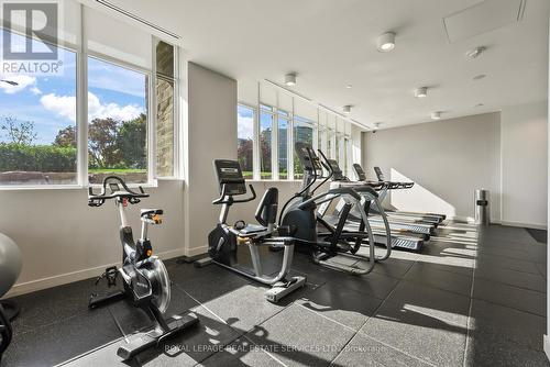 314 - 10 Deerlick Court, Toronto (Parkwoods-Donalda), ON - Indoor Photo Showing Gym Room