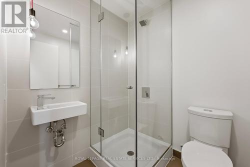 314 - 10 Deerlick Court, Toronto (Parkwoods-Donalda), ON - Indoor Photo Showing Bathroom