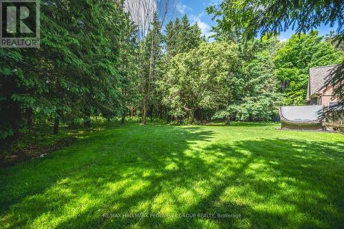 8 Red Oak Crescent, Oro-Medonte (Shanty Bay), ON - Outdoor