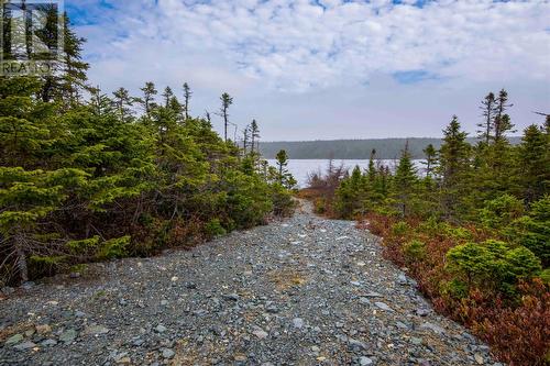 Lot 7 Rocky Pond Road, Conception Bay North, NL - Outdoor With View