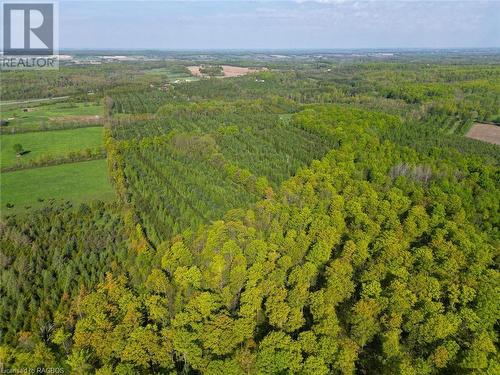 743100 Sideroad 10, Chatsworth (Twp), ON - Outdoor With View