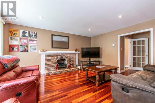 23 Middleton Street, St. John'S, NL - Indoor Photo Showing Living Room With Fireplace