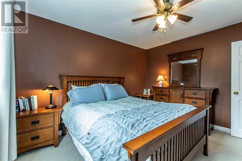 23 Middleton Street, St. John'S, NL - Indoor Photo Showing Bedroom