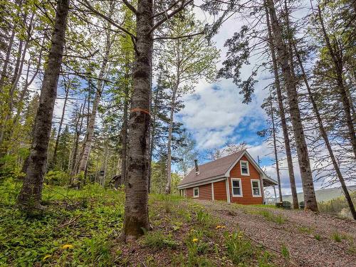 47403 Cabot Trail, Tarbotvale, NS 