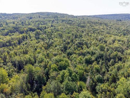 Highway 101, Centrelea, NS 