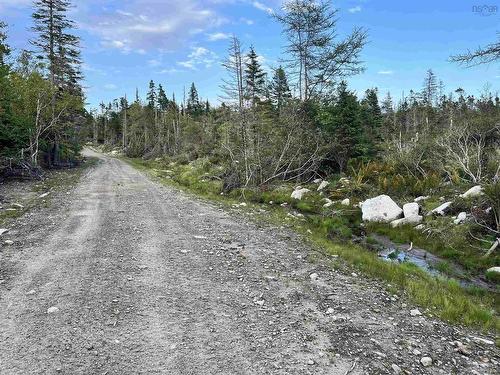 Highway 7, Spry Bay, NS 