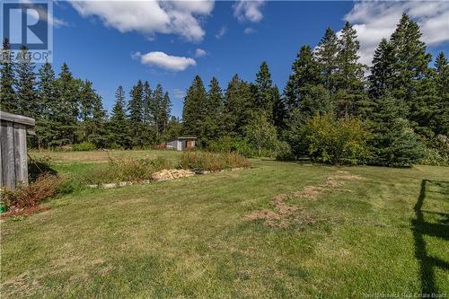 335 Mannhurst Road, Havelock, NB - Outdoor