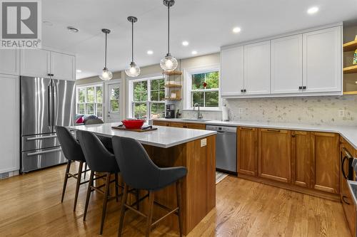 55 Poplar Avenue, St. John'S, NL - Indoor Photo Showing Kitchen With Upgraded Kitchen