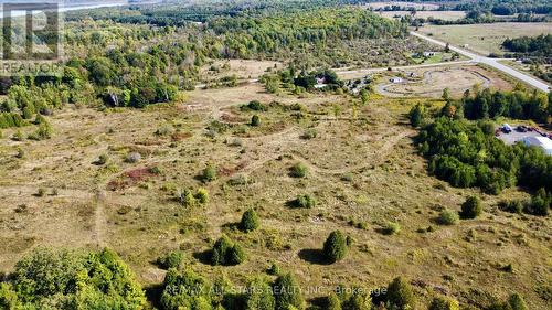 228 Blanchards Road, Kawartha Lakes, ON 