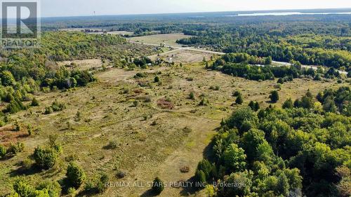 228 Blanchards Road, Kawartha Lakes, ON 