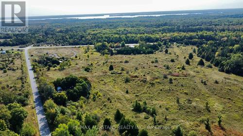 228 Blanchards Road, Kawartha Lakes, ON 