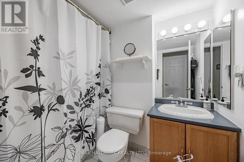 312 - 22 Clarissa Drive, Richmond Hill (Harding), ON - Indoor Photo Showing Bathroom