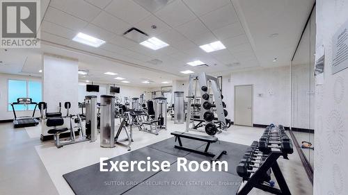 Ph 09 - 1060 Sheppard Avenue W, Toronto (York University Heights), ON - Indoor Photo Showing Gym Room