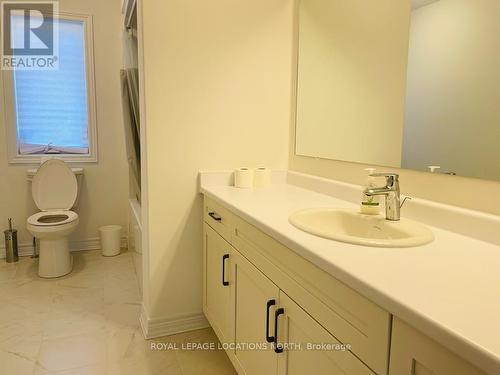 111 Plewes Drive, Collingwood, ON - Indoor Photo Showing Bathroom