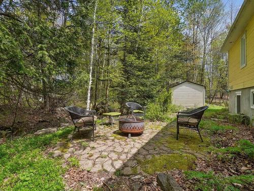 Backyard - 35 Ch. Des Bouleaux, Sainte-Anne-Des-Lacs, QC - Outdoor