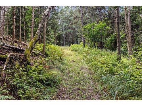 Land/Lot - 1613Z Ch. Du Village, Saint-Adolphe-D'Howard, QC 