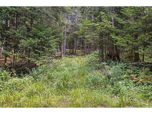 Land/Lot - 1613Z Ch. Du Village, Saint-Adolphe-D'Howard, QC 