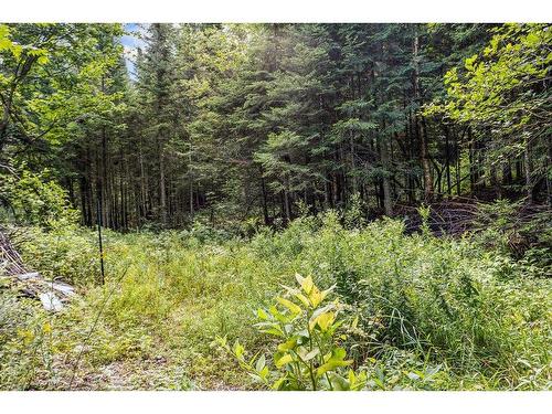 Land/Lot - 1613Z Ch. Du Village, Saint-Adolphe-D'Howard, QC 