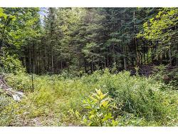 Land/Lot - 