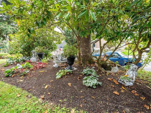 1370 Slater St, Victoria, BC 