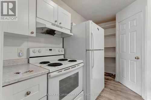 171 Balmoral Avenue N, Hamilton (Crown Point), ON - Indoor Photo Showing Kitchen