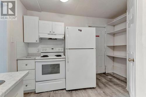 171 Balmoral Avenue N, Hamilton (Crown Point), ON - Indoor Photo Showing Kitchen