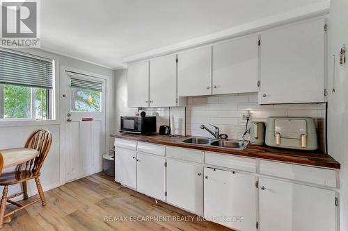 171 Balmoral Avenue N, Hamilton (Crown Point), ON - Indoor Photo Showing Kitchen With Double Sink