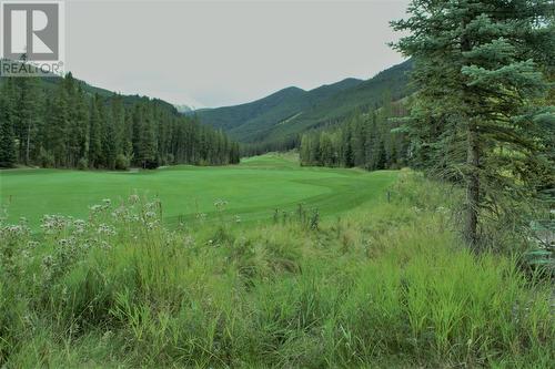 1802 Greywolf  Drive, Panorama, BC - Outdoor With View