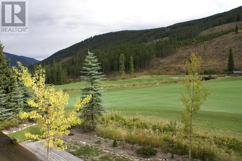 1802 Greywolf  Drive, Panorama, BC - Outdoor With View