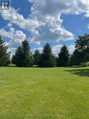 22648 Grey Rd 16 Road, Chatsworth, ON - Outdoor With View