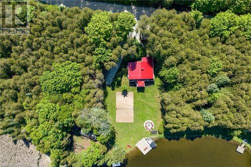 Treed area ensures privacy - 230 Wiles Lane, Eugenia, ON - Outdoor With Body Of Water With View