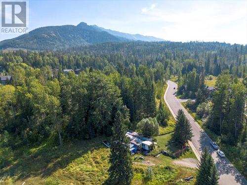 55 Castle Mountain Road, Fernie, BC 