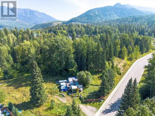 55 Castle Mountain Road, Fernie, BC 