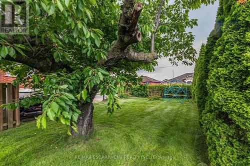 11 Ridge Point Drive, St. Catharines, ON - Outdoor