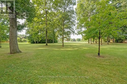 548 Swann Drive, Oakville, ON - Outdoor With View