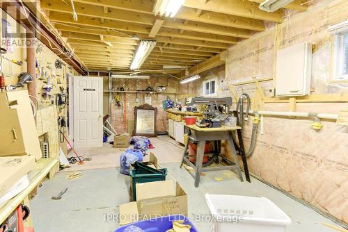 39 Downer Crescent, Wasaga Beach, ON - Indoor Photo Showing Basement