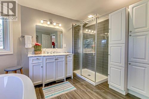 100 Midale Crescent, London, ON - Indoor Photo Showing Bathroom