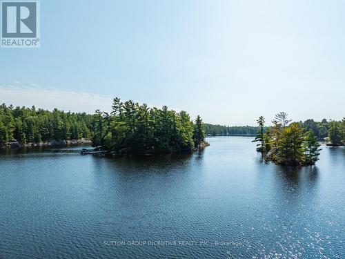 431 Healey Lake, The Archipelago, ON - Outdoor With Body Of Water With View