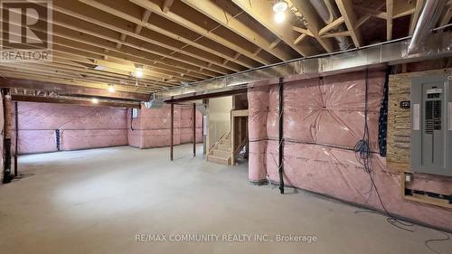 14 Lamb Avenue, Kawartha Lakes, ON - Indoor Photo Showing Basement