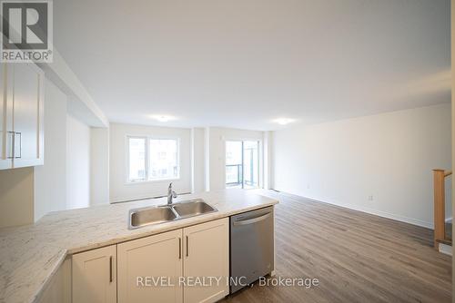 122 - 11 Roxanne Drive, Hamilton, ON - Indoor Photo Showing Kitchen With Double Sink