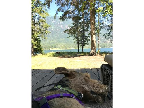 3848 Rock Island Road, Nakusp, BC - Outdoor With Body Of Water With View